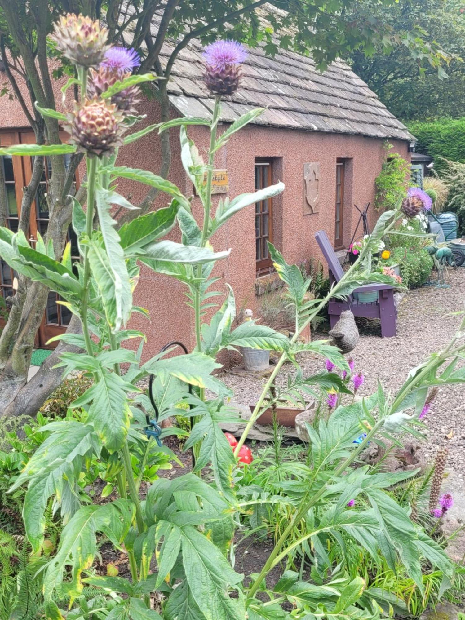 Kirkstyle Hideaway Arbroath Exterior foto